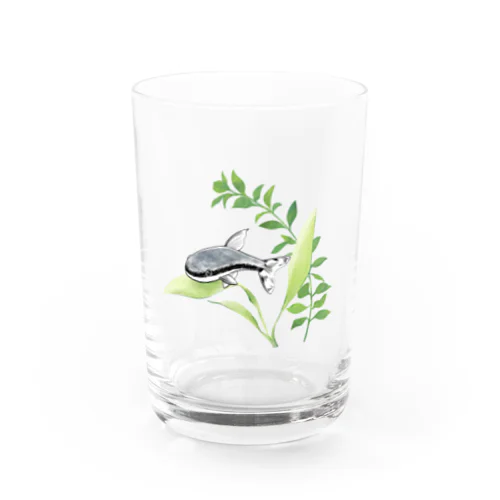 オトシンクルス Water Glass