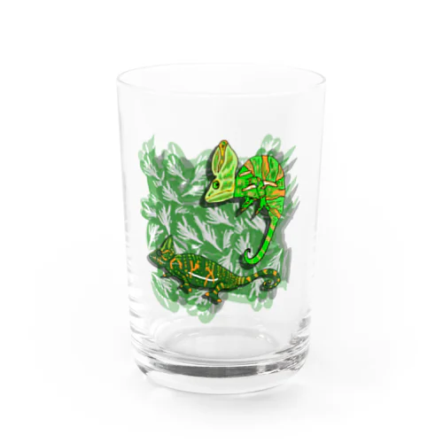 エボシカメレオン Water Glass