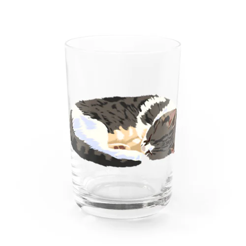 丸まる猫 Water Glass