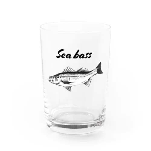 スズキ - Sea bass （鱸、学名：Lateolabrax japonicus）  グラス