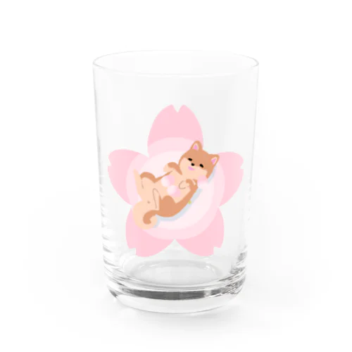 柴犬×桜 Water Glass