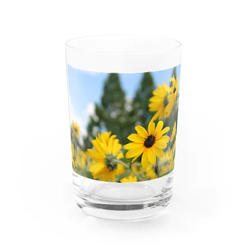 向日葵 Water Glass
