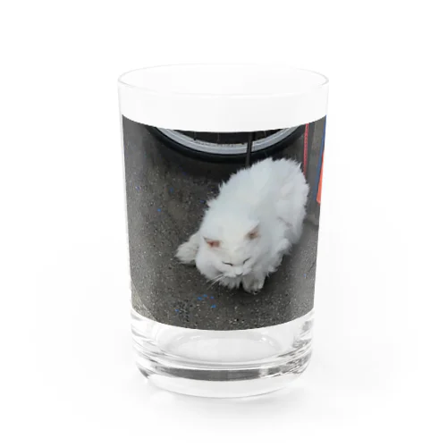 自転車屋のけむけむ猫 Water Glass