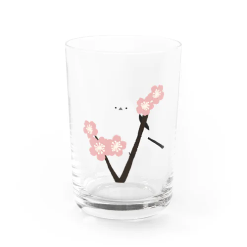 シマエナガと桜 Water Glass