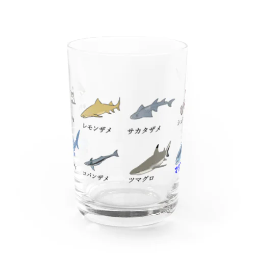 サメとサメ？とマグロ グラス