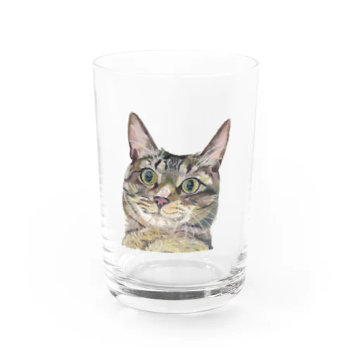 煽り猫③ Water Glass