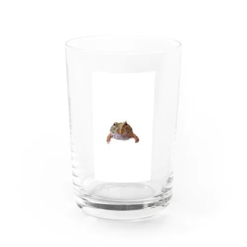 クランウェルツノガエルのよもぎちゃん Water Glass