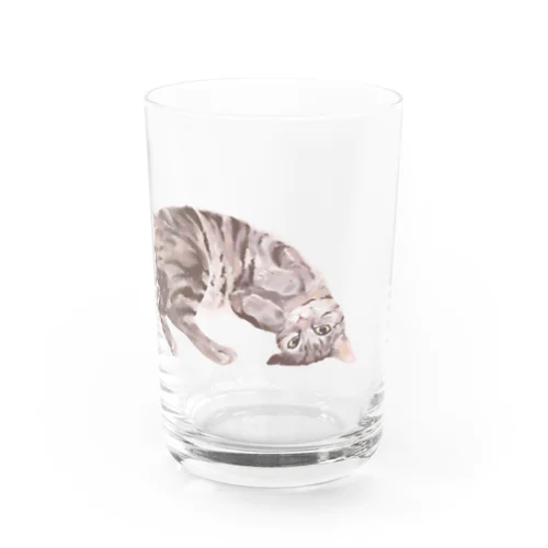 サバトラ Water Glass