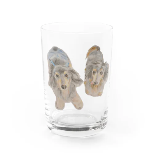 とてもかわいいダックス2匹 Water Glass