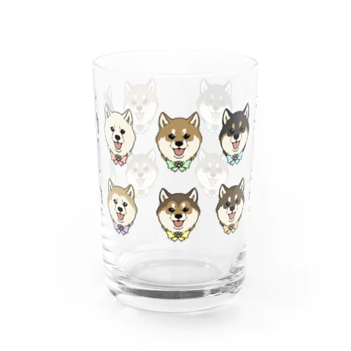 shiba-inu fanciers(集合) Water Glass