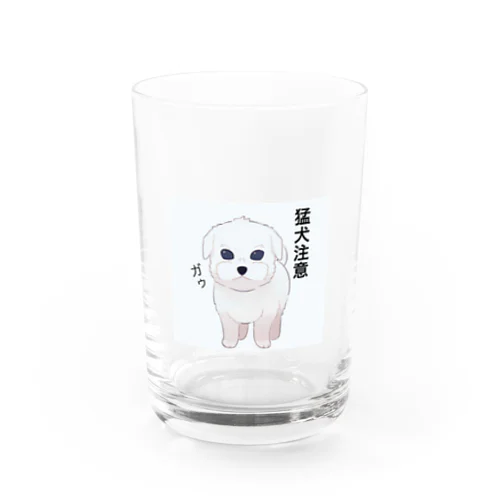 猛犬なつもりのマルプーの社長さん Water Glass