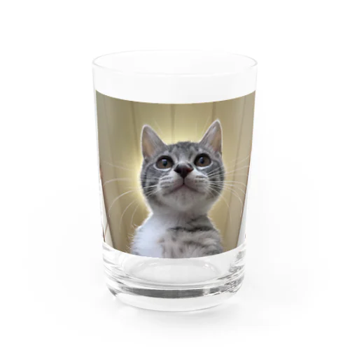保護猫ベジータ　神 グラス