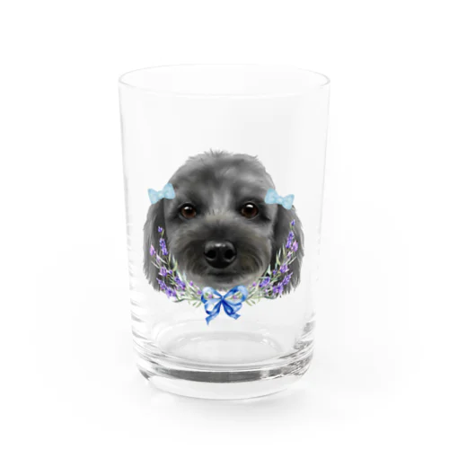 ralph犬  Water Glass