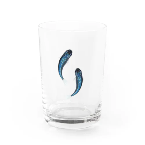 サファイアメダカダブル Water Glass