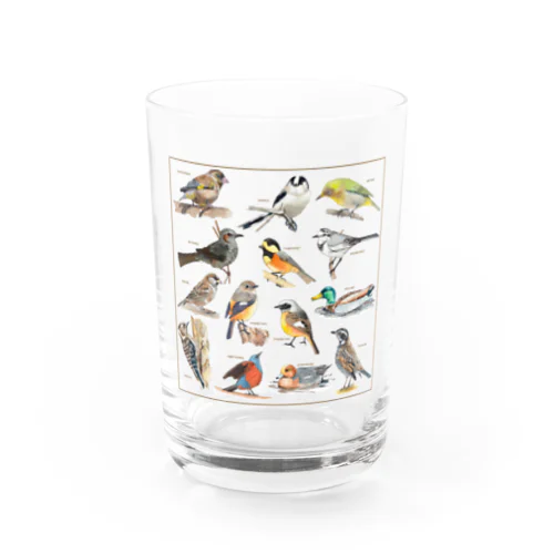 野鳥集合イラストB Water Glass