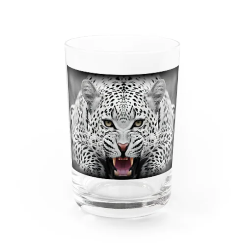 ジャガーデザイン グラス