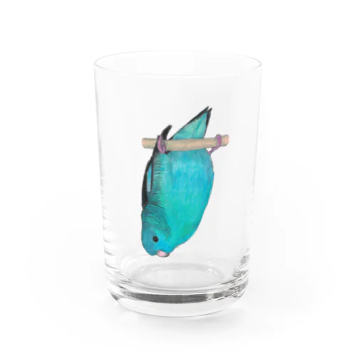 [森図鑑] サザナミインコ水色 Water Glass