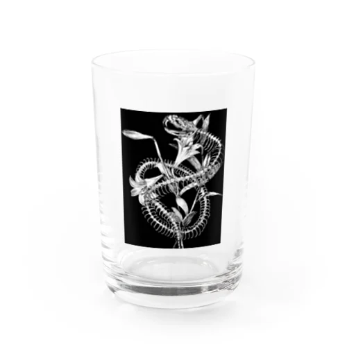 蛇骨と百合 グラス