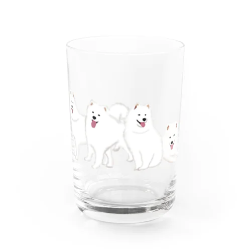 寄り添う　サモエド　犬 Water Glass