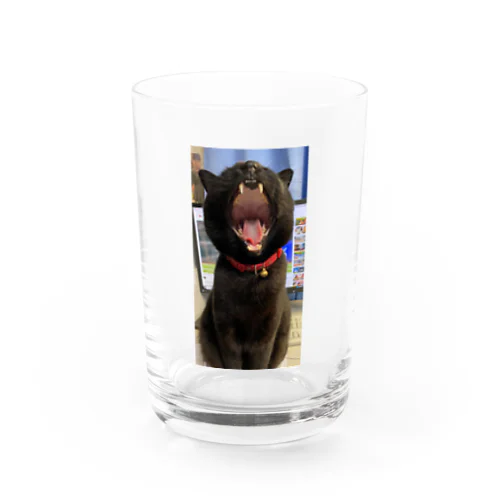 迷い黒猫キキ Water Glass