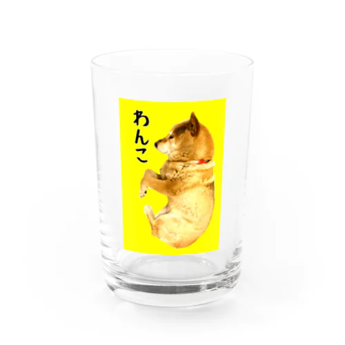 柴犬わんこ黄色枠 Water Glass