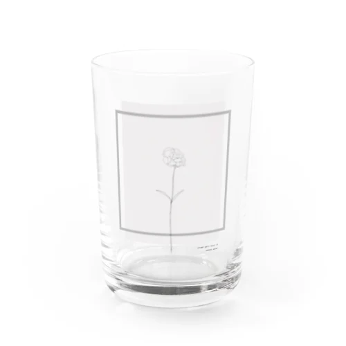  Graypink Carnation . Water Glass