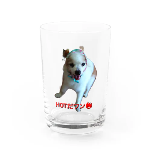 バンタナ巻いたちゃ Water Glass