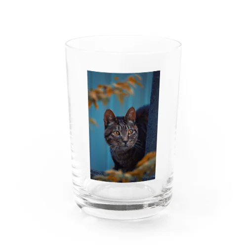 誰だよお前 Water Glass