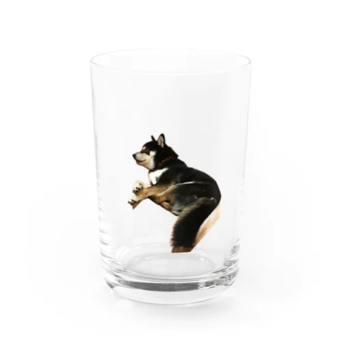 黒柴犬　ジョシーバ　癒し Water Glass