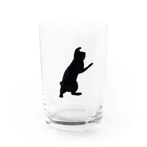 逆光のあめちゃん Water Glass