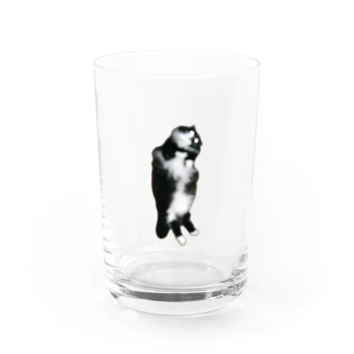 初代ラブリーキャット Water Glass