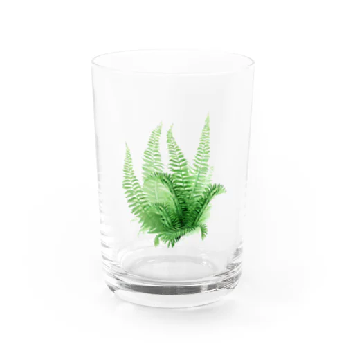 シダ植物柄 Water Glass