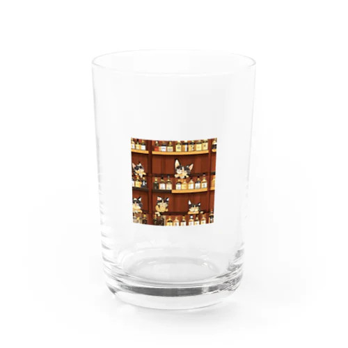 ウイスキーと猫 Water Glass