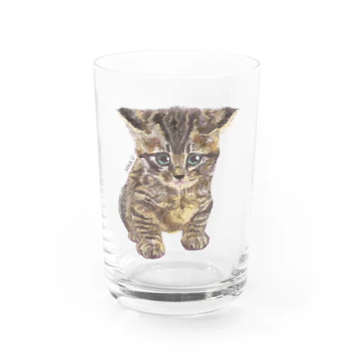 🐯🐱 Water Glass