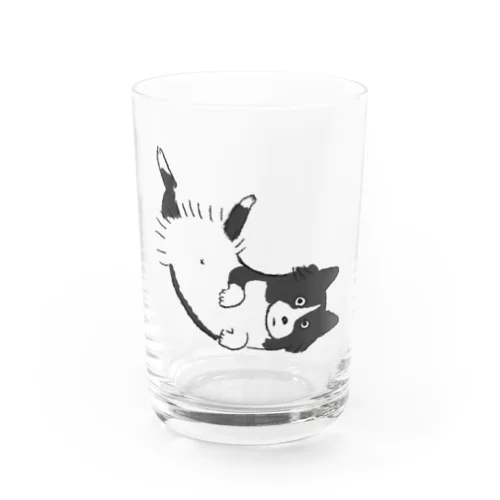 へそてんいぬ Water Glass