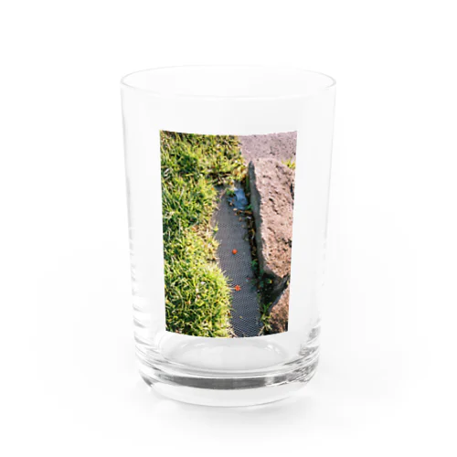 The point Water Glass