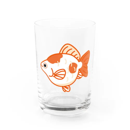 金魚「福だるま」 Water Glass