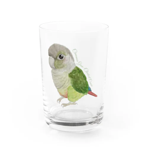 107 ウロコインコシナモン simple Water Glass