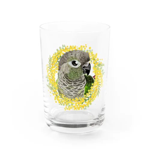 038 ウロコインコノーマル ミモザのリース Water Glass