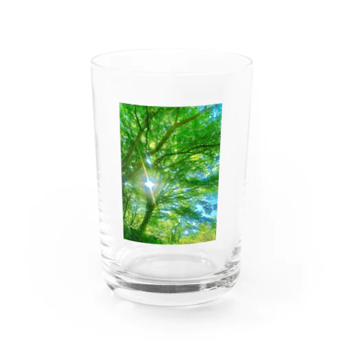 緑 Water Glass