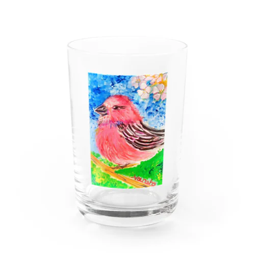 春スズメ Water Glass