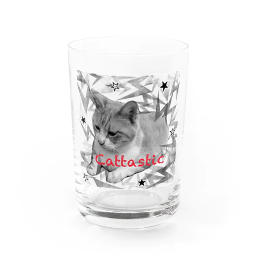 かっこいいチャチャ Water Glass