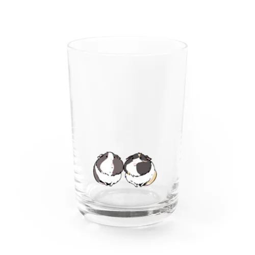 モルモットのごましおと伊達丸 Water Glass