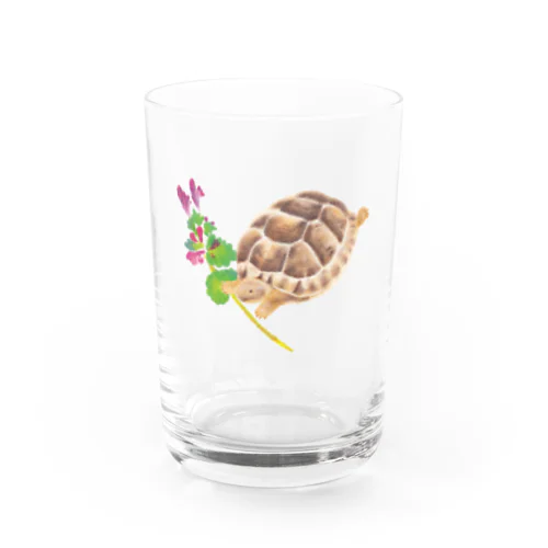 ホトケノザとギリシャリクガメ Water Glass