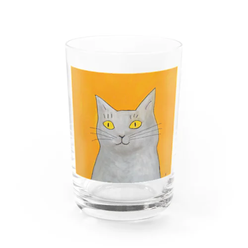 灰色猫 グラス