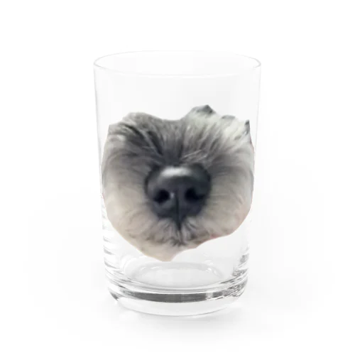 ももちゃんのはな Water Glass