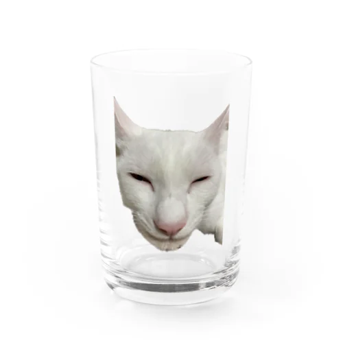 笑亀 Water Glass