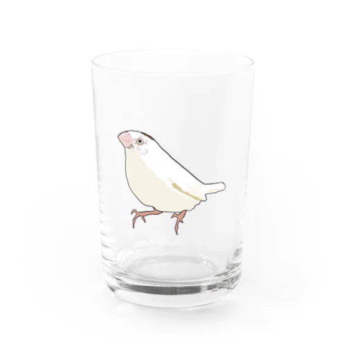 ジュウシマツ3 Water Glass