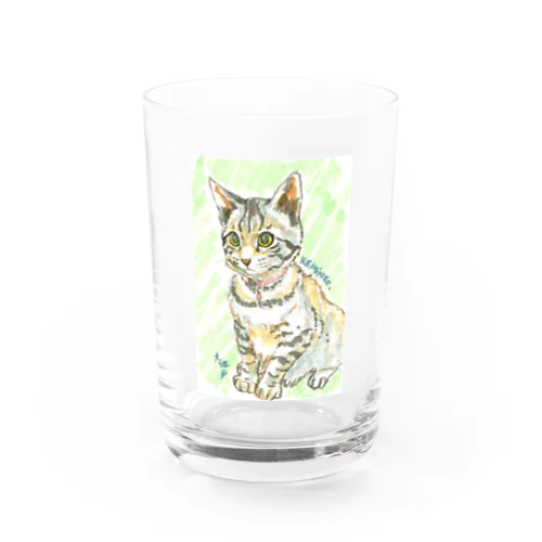 子猫ケンケン Water Glass
