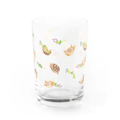 野の花とギリシャリクガメ Water Glass